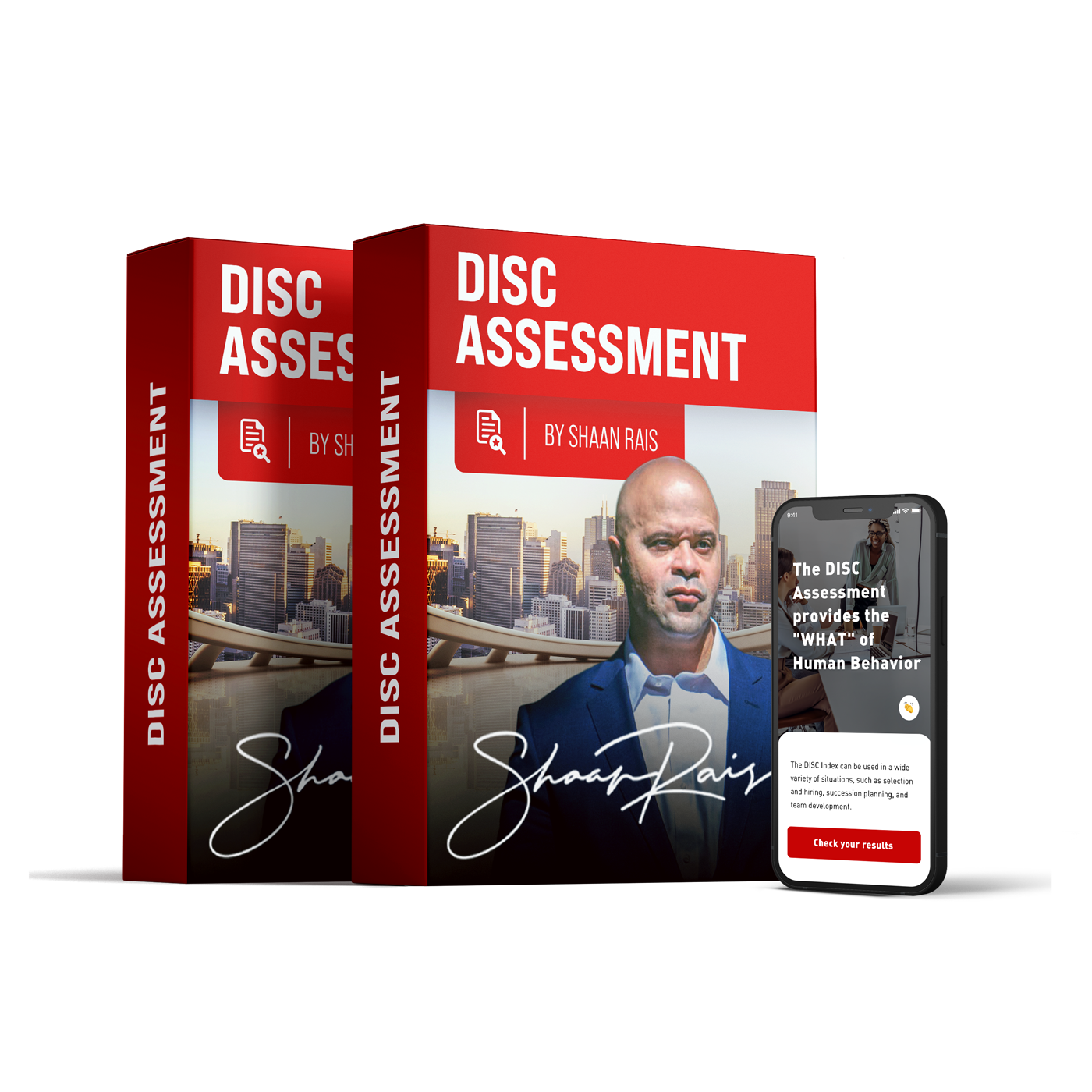 DISC Assessment